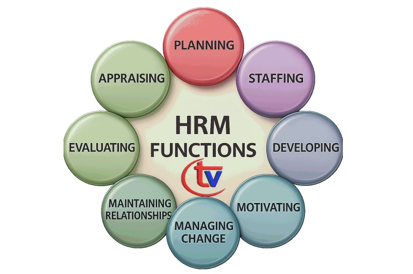 Hệ thống quản lý nhân sự tiền lương